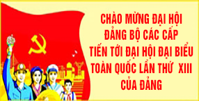 Đại hội các cấp