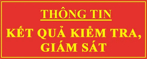 Thông tin kết quả kiểm tra, giám sát