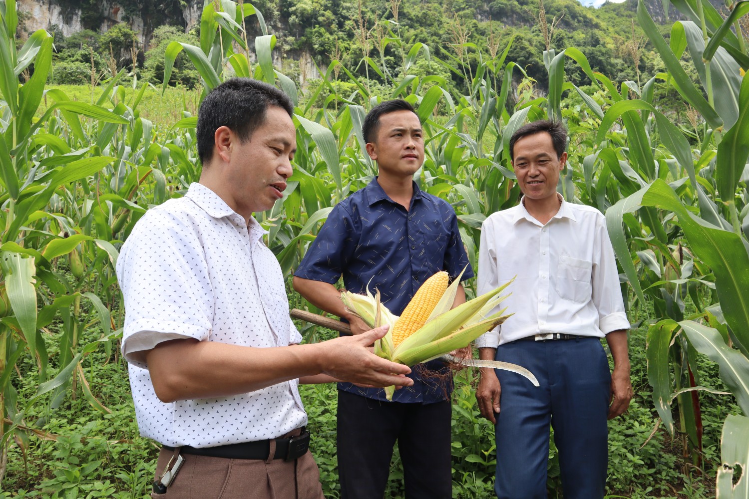 Lãnh đạo Đảng uỷ, HĐND xã kiểm tra cây ngô ở bản Noong Quài